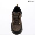 Men's trekking boots REGATTA Blake Low peat/wood 18