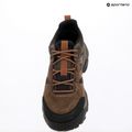 Helly Hansen Switchback Low 3 HellyTech cement/coffee bean men's trekking shoes 9