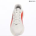Men's running shoes Nike Downshifter 14 white/summit white/bright crimson/black 10