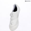 Men's road shoes Shimano SH-RC503 white 16