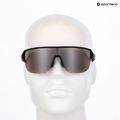 Sunglasses Alpina Ram 2.0 Q-Lite black matt / silver mirror 7