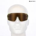 Sunglasses Alpina Lumin green transparent gloss/gold mirror 7