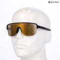 Sunglasses Alpina Ram 2.0 Q-Lite black matt/gold mirror 7