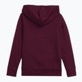 Children's sweatshirt GAP V-FA SLD Logo PO beach plum 2