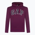 Men's GAP V-Heritage Logo sweatshirt PO SNL beach plum 2