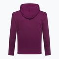 Men's GAP V-Heritage Logo sweatshirt PO SNL beach plum 3