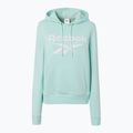 Women's Reebok Identity Big Logo Fleece glitch aqua sweatshirt 5
