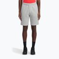 Men's training shorts Reebok Identity Small Logo Fleece medium grey heather/vector red