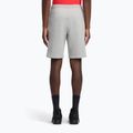 Men's training shorts Reebok Identity Small Logo Fleece medium grey heather/vector red 3