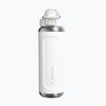 Thermal bottle Stanley Classic Wellspring frost