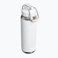 Thermal bottle Stanley Classic Wellspring frost 2