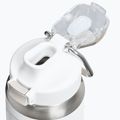 Thermal bottle Stanley Classic Wellspring frost 3
