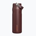 Thermal bottle Stanley IceFlow Flip Straw 710 ml coffee