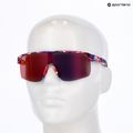 Sunglasses Red Bull SPECT Dakota matt blue-burgundy pattern/smoke red-purple mirror 7