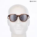 UVEX sunglasses LGL 54 havanna matt/litemirror silver 11