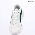 Men's running shoes Nike Downshifter 14 white/midnight navy/green spark 14
