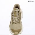 Men's running shoes Nike Downshifter 14 desert khaki/sail/filbert/dark hazel 10