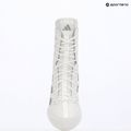 Boxing shoes adidas Box Hog 4 white/silver 9