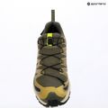Men's running shoes Salomon XA Pro 3D V9 GTX grape leaf/aloe 15