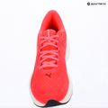 Running shoes Puma Electrify Nitro 5 ultra red/inky depths 15