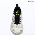 Men's basketball shoes Nike Giannis Immortality 5 white/off white/metallic silver 16