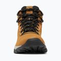 Columbia Newton Ridge Plus II Wp elk/black men's trekking boots 10