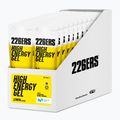 226ERS High Energy gels set 24 pcs. x 76 g lemon