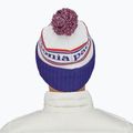 Patagonia Powder Town winter beanie park stripe / viking blue 9