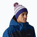 Patagonia Powder Town winter beanie park stripe / viking blue 10