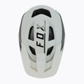 Fox Racing Speedframe Pro Blocked bike helmet white 29414_439_S 6
