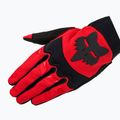 Men's cycling gloves Fox Racing Dirtpaw fluorescent 5