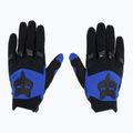 Men's cycling gloves Fox Racing Dirtpaw blue 2