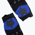 Men's cycling gloves Fox Racing Dirtpaw blue 5