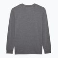 Men's cycling long sleeve Fox Racing Absolute Tech heather graphite 2