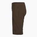 Men's cycling shorts Fox Racing Ranger Liner cocoa 3