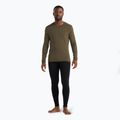 Men's thermal top icebreaker 200 Oasis Crewe loden 2