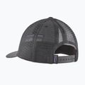 Patagonia P-6 Logo LoPro Trucker cap forge grey 2