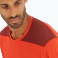 Men's Salomon Outline SS trekking t-shirt red LC1715200 5