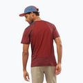 Salomon Outline SS men's trekking t-shirt maroon LC1715600 3