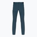 Men's trekking trousers Salomon Wayfarer blue LC1713700