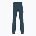 Men's trekking trousers Salomon Wayfarer blue LC1713700 2