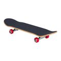 Classic skateboard Santa Cruz Classic Dot Mid 7.8 green 118731 2