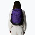 The North Face Borealis Classic 29 l peak purple/black hiking backpack 7