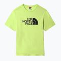 Men's trekking shirt The North Face Easy green NF0A2TX3HDD1 8