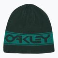 Oakley TNP Reversible cap green FOS901066 4