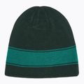 Oakley TNP Reversible cap green FOS901066 5