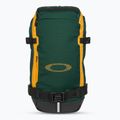 Oakley Peak RC 18 l hiking backpack hunter green