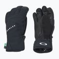 Ski gloves Oakley Roundhouse Short blackout