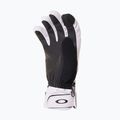 Ski gloves Oakley Roundhouse Short Lunar Rock 3