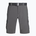 Columbia Silver Ridge II Cargo 023 grey 1794921 men's trekking shorts 6